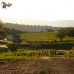 De Chatillon-en-Diois, Drome, vers Saint-Roman